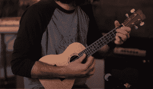 how to buy ukulele for beginners