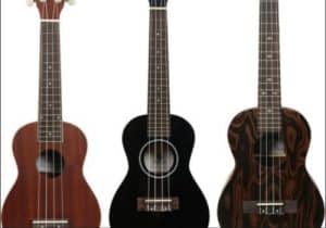 best tenor ukulele