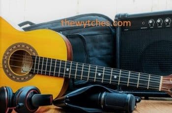🥇 Best Acoustic Guitar Amp under 500 Dollars